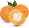 Frozen fruit pulp