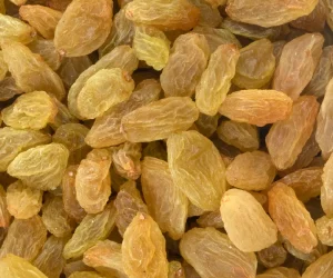 Sangli Green Round (Averge)